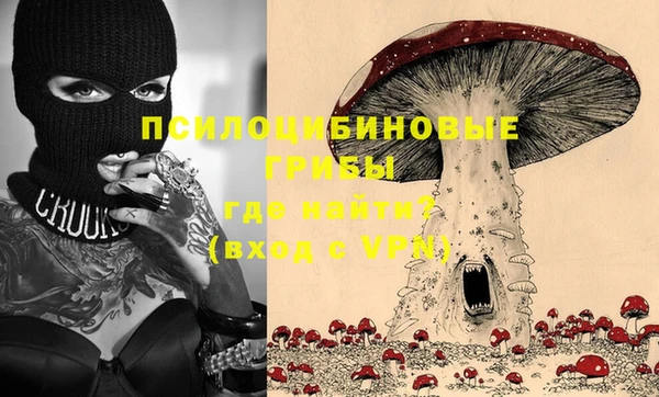 Альфа ПВП Алзамай