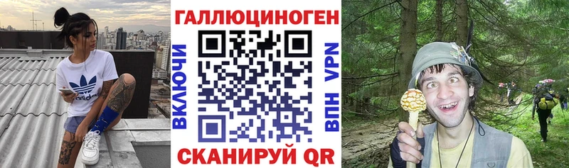 Псилоцибиновые грибы MAGIC MUSHROOMS  наркотики  Челябинск 